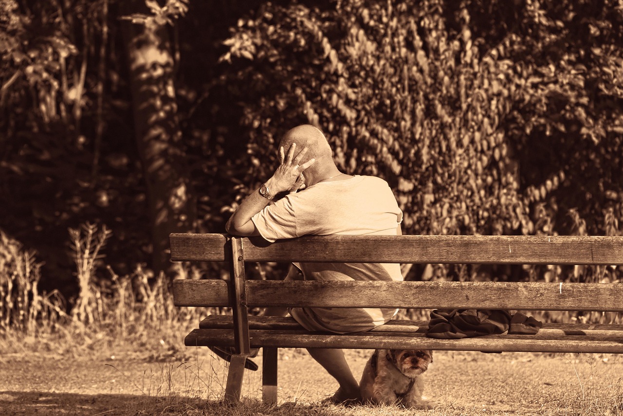 Hond duwt speeltje in je hand