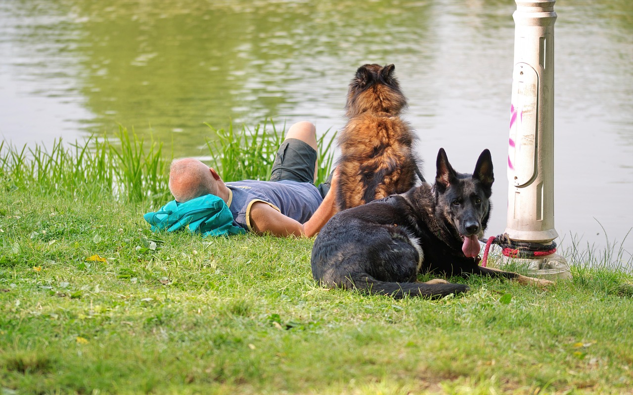 Verzorging voor minivarken