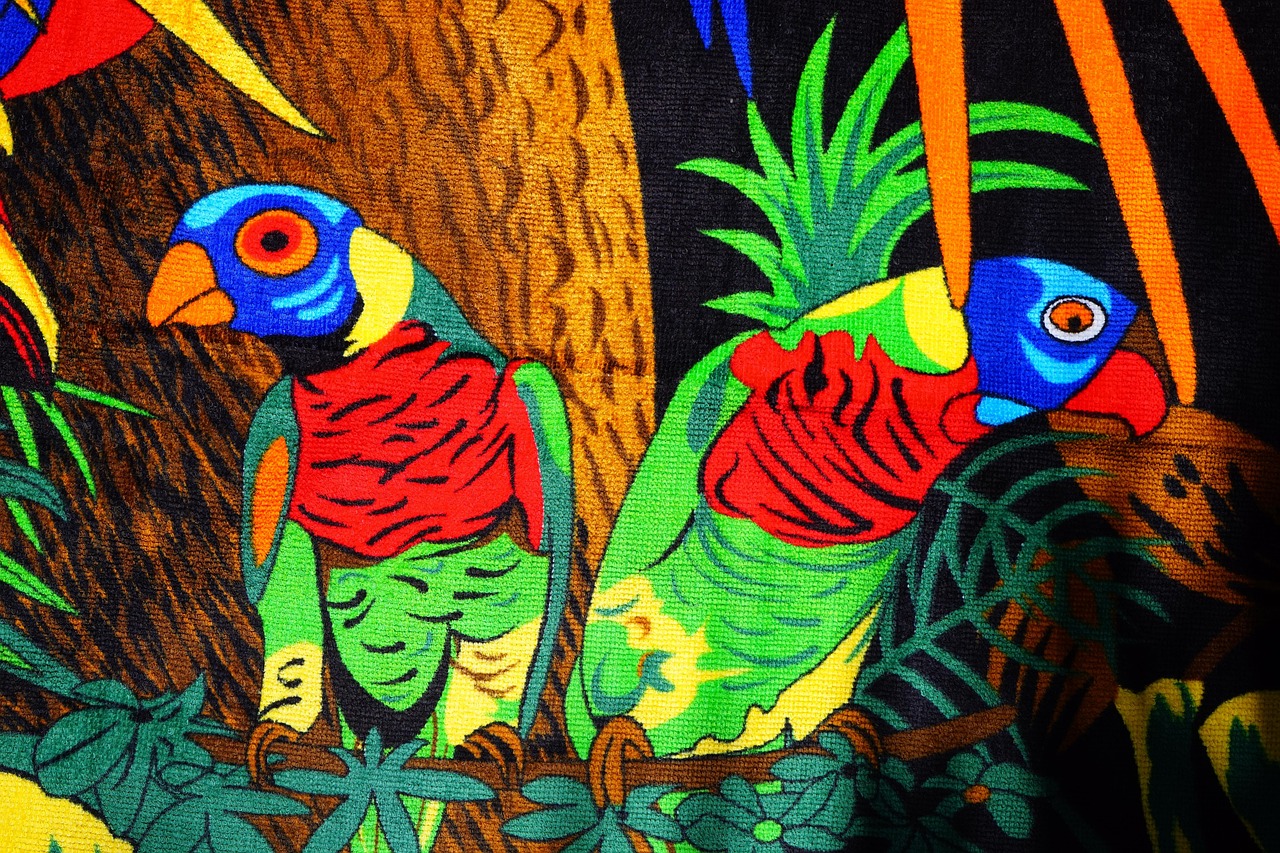 Veelgemaakte fouten voor parkiet