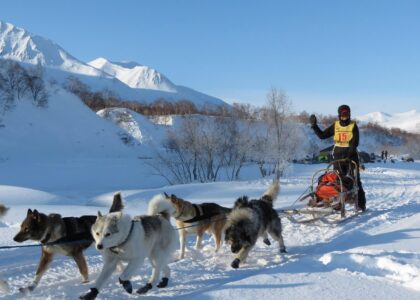 Dagelijkse routine voor husky